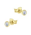 Silver Stud Earring STS-6892